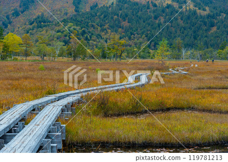 Autumn Ozegahara Autumn Ozegahara 119781213