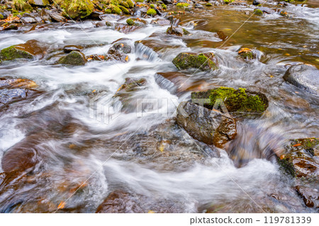 Akiu Otaki Falls Autumn Foliage One of Japan's Three Greatest Waterfalls Scenic Spots in Sendai City Nationally Designated Place of Scenic Beauty One of Japan's 100 Greatest Waterfalls 119781339
