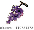 Illustration of grapes painted in watercolor 119781372