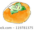 Persimmon drawn in watercolor 119781375