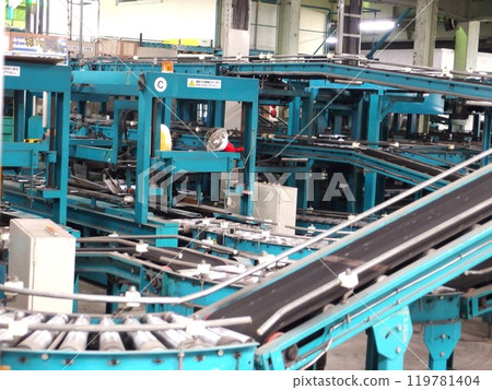 Eggplant sorting area Eggplant conveyor belt roller Eggplant sorting area Eggplant conveyor belt roller 119781404