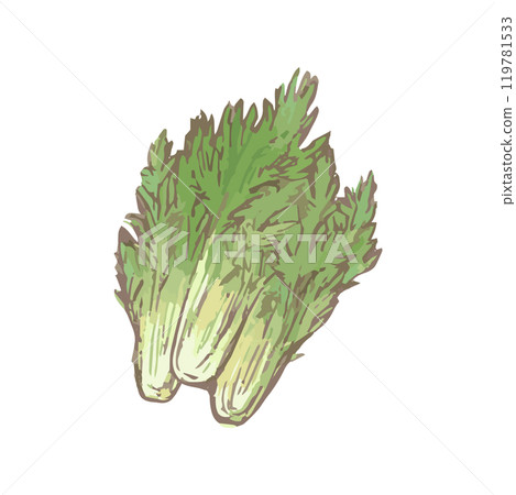 Mizuna_simple vegetable illustration hand-drawn icon 119781533
