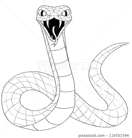Illustration of a white snake with its mouth open and tongue out, black and white 119781594