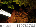 Sapporo Nakajima Park, Autumn Foliage Light Top Autumn Illuminations 119781788