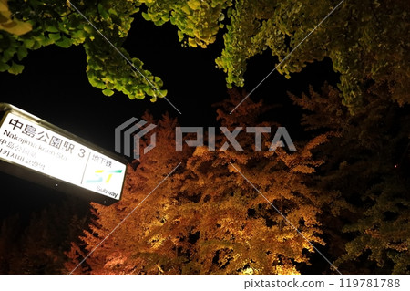 札幌中島公園，秋葉燈頂 秋季燈飾 119781788