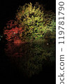Sapporo Nakajima Park, Autumn Foliage Light Top Autumn Illuminations 119781790