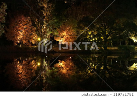 札幌中島公園,秋葉燈頂 秋季燈飾 札幌中島公園,秋葉燈頂 秋季燈飾 119781791
