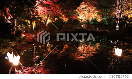 Sapporo Nakajima Park, Autumn Foliage Light Top Autumn Illuminations 119781792