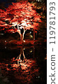 Sapporo Nakajima Park, Autumn Foliage Light Top Autumn Illuminations 119781793