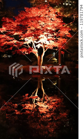 札幌中島公園，秋葉燈頂 秋季燈飾 119781794