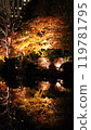 Sapporo Nakajima Park, Autumn Foliage Light Top Autumn Illuminations 119781795