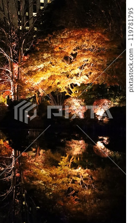 札幌中島公園,秋葉燈頂 秋季燈飾 札幌中島公園,秋葉燈頂 秋季燈飾 119781795