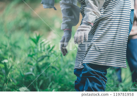 A woman working in the fields standing up 119781958