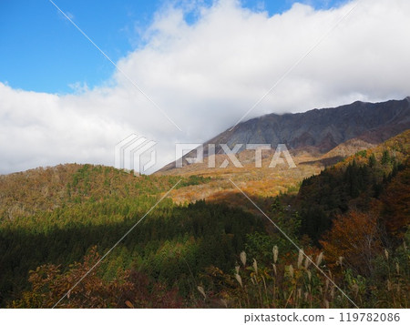 Spectacular autumn foliage at Mt. Daisen in Tottori 119782086