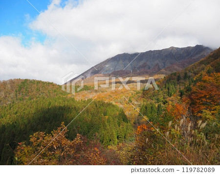 Spectacular autumn foliage at Mt. Daisen in Tottori 119782089