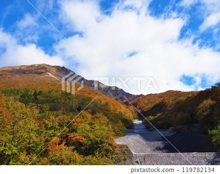 Spectacular autumn foliage at Mt. Daisen in Tottori 119782134