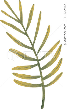 Green leaf branch, hand-drawn watercolor painting illustration 119782464