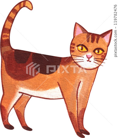 orange cat with brown stripes standing sideways, hand-drawn watercolor painting illustration 119782476