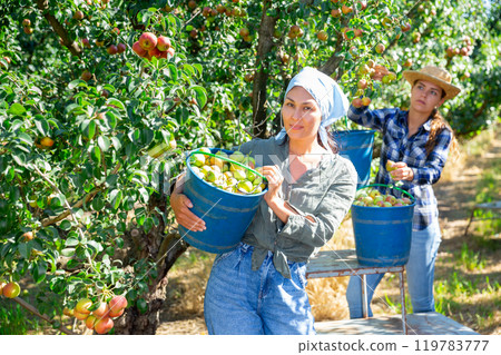 Woman posing near buckets with picked pears Woman posing near buckets with picked pears 119783777