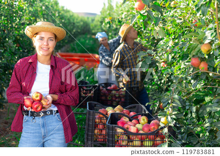 Woman with apples and workers 119783881