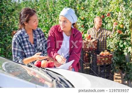 Female farmers discussing papers in garden during apple harvest Female farmers discussing papers in garden during apple harvest 119783937