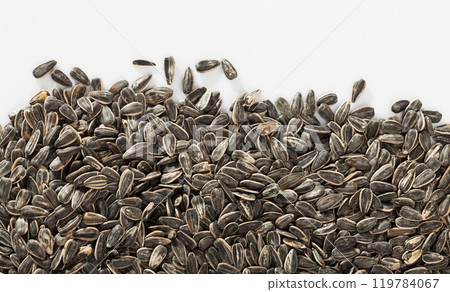 Sunflower black seeds on white background close up, nobody 119784067