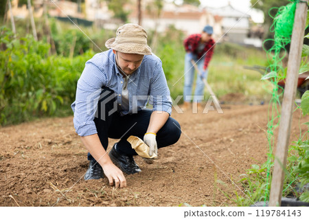 Guy is planting seeds in open ground 119784143