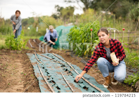 Positive girl buries berry and vegetable seeds in ground in garden bed covered with pest control material Positive girl buries berry and vegetable seeds in ground in garden bed covered with pest control material 119784215