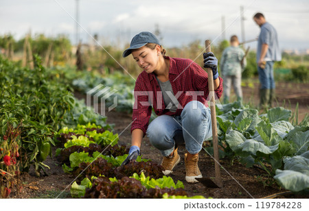Woman with a hoe in the garden Woman with a hoe in the garden 119784228