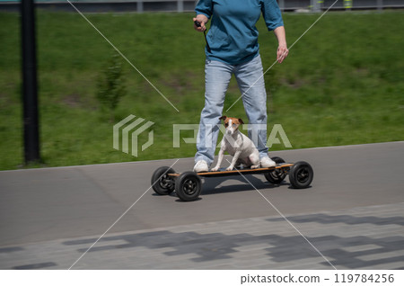Caucasian woman rides an electric longboard with her Jack Russell Terrier dog. Caucasian woman rides an electric longboard with her Jack Russell Terrier dog. 119784256