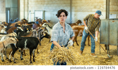Hardworking young woman farmer making straw and hay preparations on goat farm 119784476