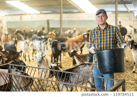 Man pouring dry food from bucket into goat feeder Man pouring dry food from bucket into goat feeder 119784511