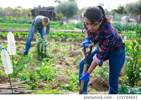 Portrait of woman standing with shovel in homestead outdoors 119784681