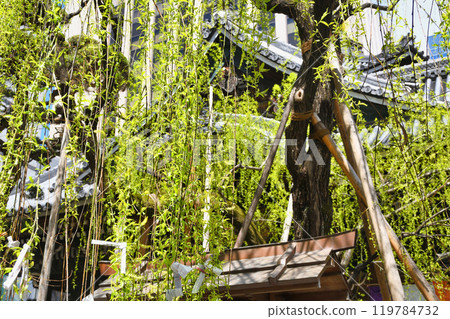京都紫雲山長法寺六角堂六角柳和本堂（京都市中京區） 119784732