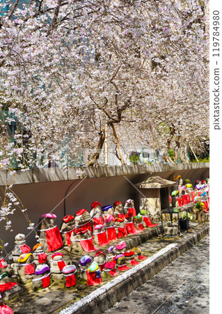 Kyoto, Shiunzan Chohoji Temple, Jizo statue at the hexagonal hall, weeping cherry blossoms and pigeon fortune telling (Nakagyo Ward, Kyoto City) Kyoto, Shiunzan Chohoji Temple, Jizo statue at the hexagonal hall, weeping cherry blossoms and pigeon fortune telling (Nakagyo Ward, Kyoto City) 119784980