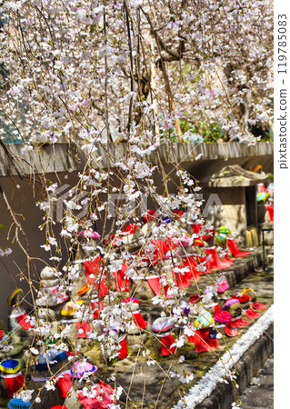 Kyoto, Shiunzan Chohoji Temple, Jizo statue at the hexagonal hall, weeping cherry blossoms and pigeon fortune telling (Nakagyo Ward, Kyoto City) Kyoto, Shiunzan Chohoji Temple, Jizo statue at the hexagonal hall, weeping cherry blossoms and pigeon fortune telling (Nakagyo Ward, Kyoto City) 119785083