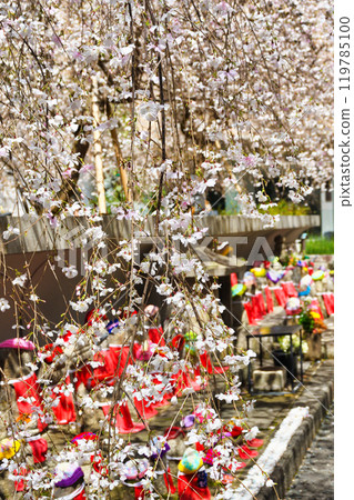 Kyoto, Shiunzan Chohoji Temple, Jizo statue at the hexagonal hall, weeping cherry blossoms and pigeon fortune telling (Nakagyo Ward, Kyoto City) Kyoto, Shiunzan Chohoji Temple, Jizo statue at the hexagonal hall, weeping cherry blossoms and pigeon fortune telling (Nakagyo Ward, Kyoto City) 119785100