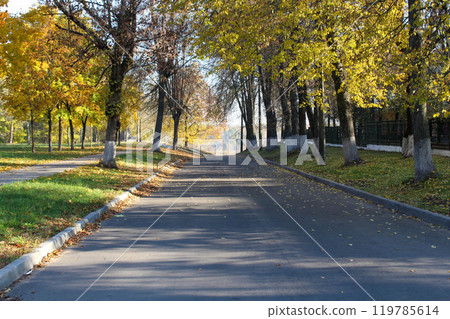 The road to the river in autumn. The sun in the park during the day. The road to the river in autumn. The sun in the park during the day. 119785614