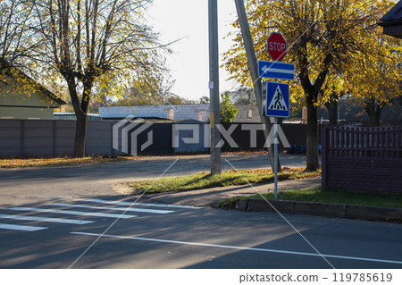 Pedestrian crossing across the street in the city in autumn Pedestrian crossing across the street in the city in autumn 119785619