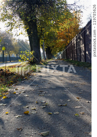 Sidewalk in the private sector. Block fence and trees Sidewalk in the private sector. Block fence and trees 119785626