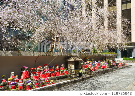京都紫雲山長法寺六角堂地藏像、垂枝櫻花和鴿子財運（京都市中京區） 119785948