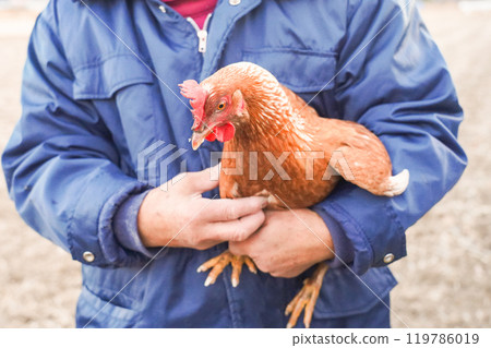 A bantam that can be held A bantam that can be held 119786019