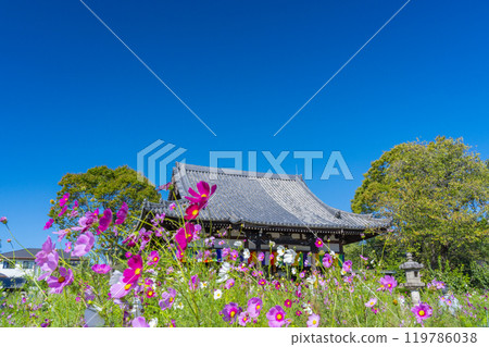 文寺的主要寺廟和宇宙 文寺的主要寺廟和宇宙 119786038