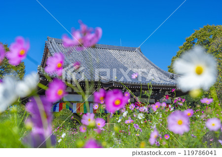 Main temple and cosmos of Wenji Temple 119786041