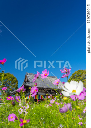 文寺的主要寺廟和宇宙 文寺的主要寺廟和宇宙 119786045