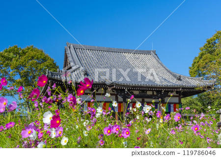 文寺的主要寺廟和宇宙 文寺的主要寺廟和宇宙 119786046