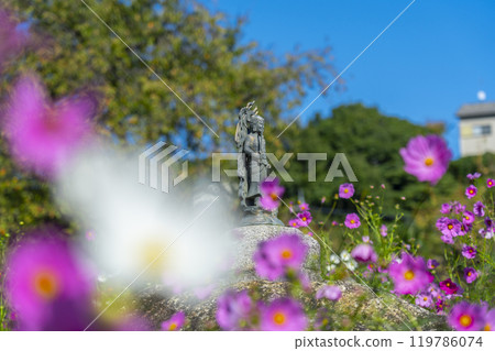 Kanman stone with Acala standing on it and cosmos at Hannya-ji Temple 119786074