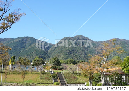 從公園看到的綠樹成蔭的山 119786117