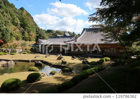 Three acorns Three acorns 119786362