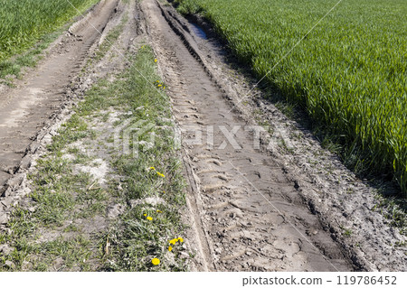 deep track on the road in the field 119786452